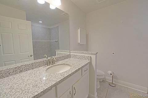 2906 N Appledore Path, Hernando, FL 34442 photo 29