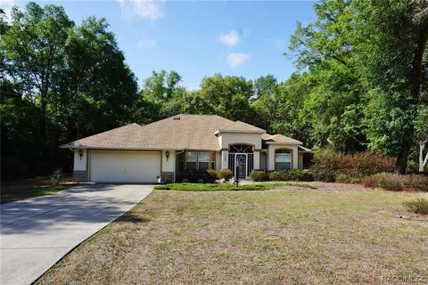 1298 E Oriole Ct, Hernando, FL 34442 photo 36