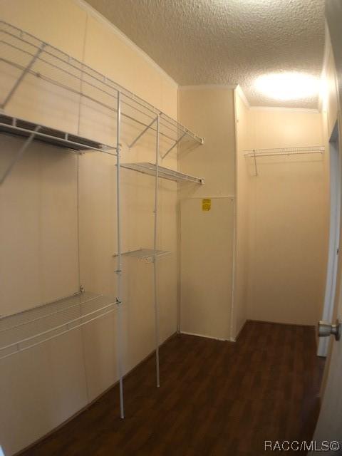 1447 E Wacker St, Hernando, FL 34442 photo 30