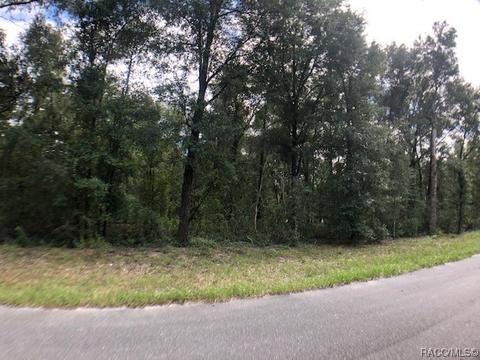 1447 E Wacker St, Hernando, FL 34442 photo 5
