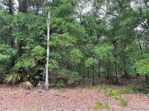 9150 NW 131st Pl, Chiefland, FL 32626