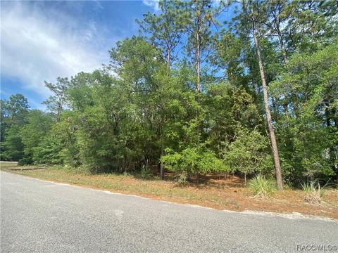 0 SW 181 Cir, Dunnellon, FL 34432