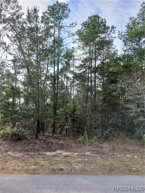 9 Dianthus Ct, Homosassa, FL 34446