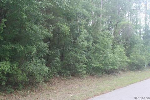 1796 W Stafford St, Hernando, FL 34442 photo 5