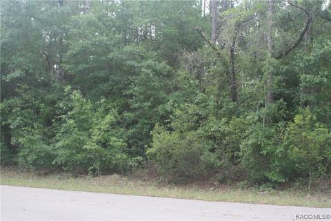 1796 W Stafford St, Hernando, FL 34442 photo 2
