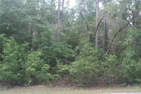 1796 W Stafford St, Hernando, FL 34442 photo 1