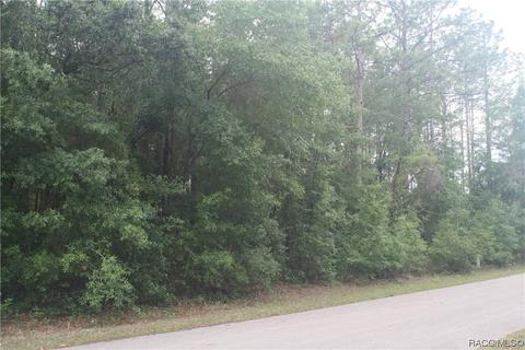 1796 W Stafford St, Hernando, FL 34442 photo 4