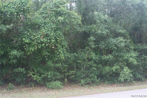 1796 W Stafford St, Hernando, FL 34442 photo 3