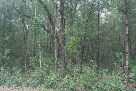 942 W Liberty St, Hernando, FL 34442 photo 3