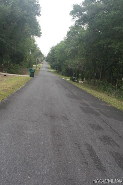 942 W Liberty St, Hernando, FL 34442 photo 7