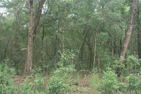 942 W Liberty St, Hernando, FL 34442