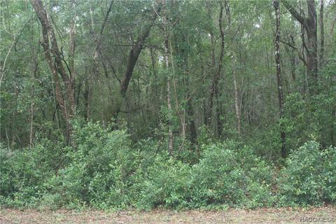 942 W Liberty St, Hernando, FL 34442 photo 2