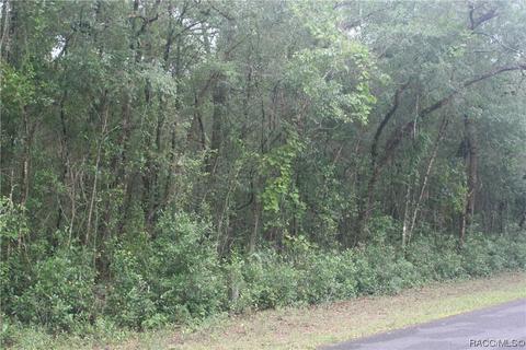 942 W Liberty St, Hernando, FL 34442 photo 5