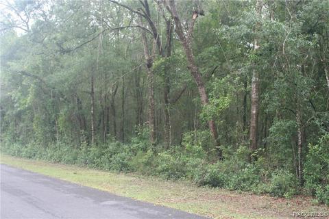 942 W Liberty St, Hernando, FL 34442 photo 4
