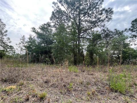 7245 N Gretchen Way, Citrus Springs, FL 34434