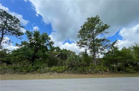 11412 W Cornflower Dr, Crystal River, FL 34428