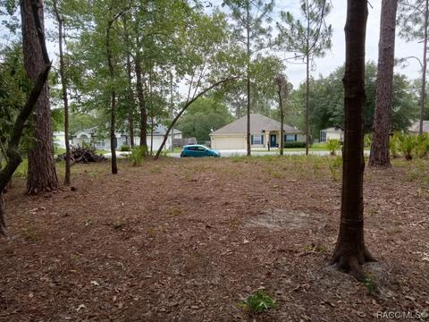 7106 N Outrigger Ter, Citrus Springs, FL 34433