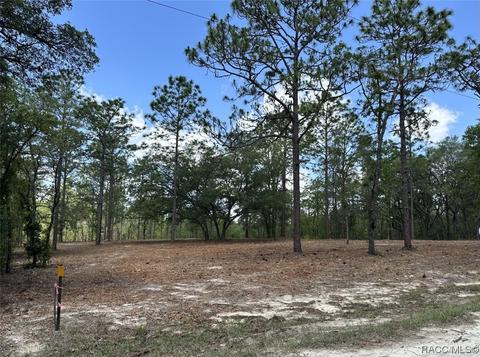 00 SW 134th Ave, Dunnellon, FL 34432