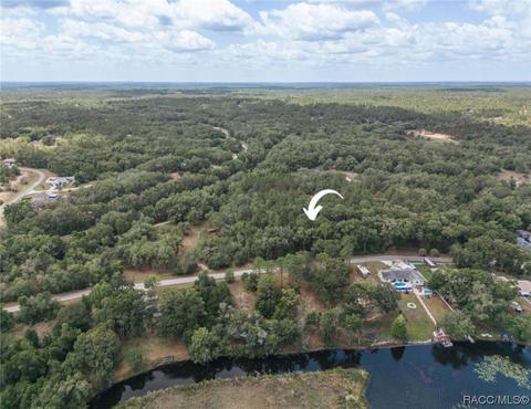 2220 W Springlake Dr, Dunnellon, FL 34434