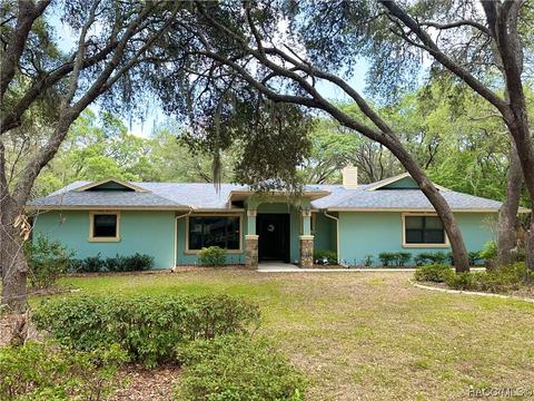 319 N Indianapolis Ave, Hernando, FL 34442 photo 1