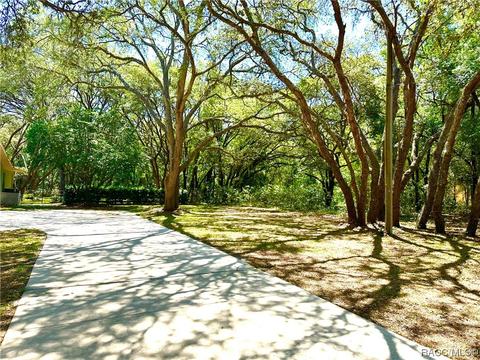 319 N Indianapolis Ave, Hernando, FL 34442 photo 51
