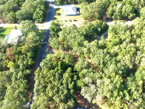 319 N Indianapolis Ave, Hernando, FL 34442 photo 52