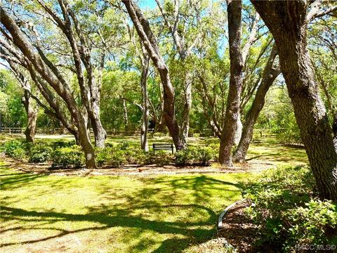 319 N Indianapolis Ave, Hernando, FL 34442 photo 41