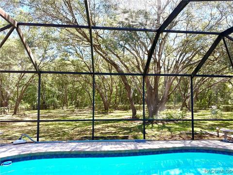 319 N Indianapolis Ave, Hernando, FL 34442 photo 29