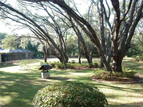 319 N Indianapolis Ave, Hernando, FL 34442 photo 36
