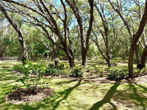 319 N Indianapolis Ave, Hernando, FL 34442 photo 39