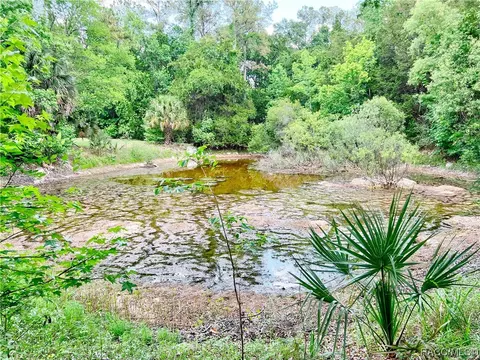 View/Area - 6351 SE 26th Ter, Inglis, FL 34449 photo 1 of 3