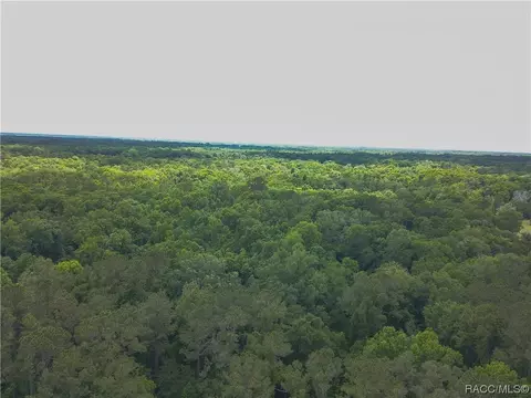 View/Area - 6351 SE 26th Ter, Inglis, FL 34449 photo 3 of 3