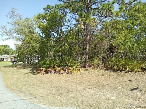 82 Linder Dr, Homosassa, FL 34446