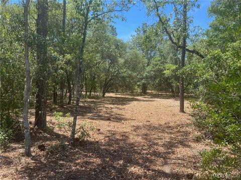 00 SW Wood Rd, Dunnellon, FL 34431