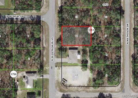 6183 N Bedstrow Blvd, Citrus Springs, FL 34434