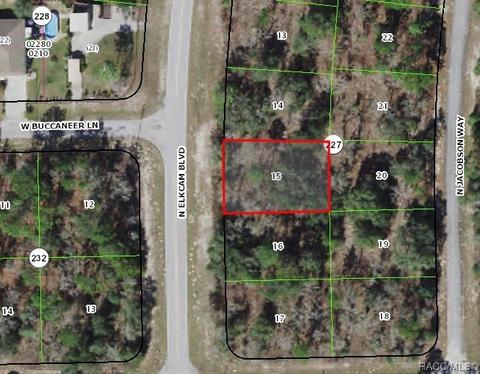 10121 N Elkcam Blvd, Citrus Springs, FL 34433