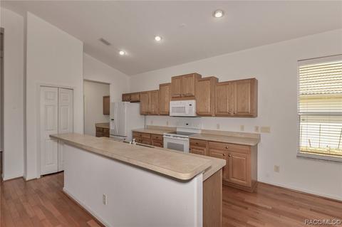 518 W Doerr Path, Hernando, FL 34442 photo 17