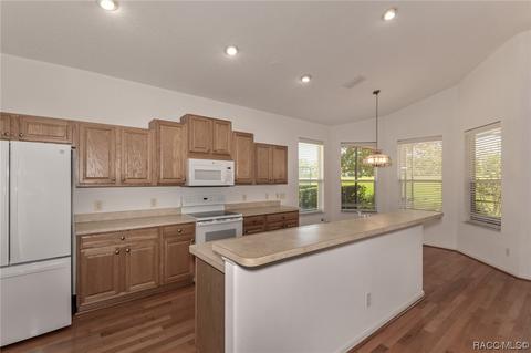 518 W Doerr Path, Hernando, FL 34442 photo 13