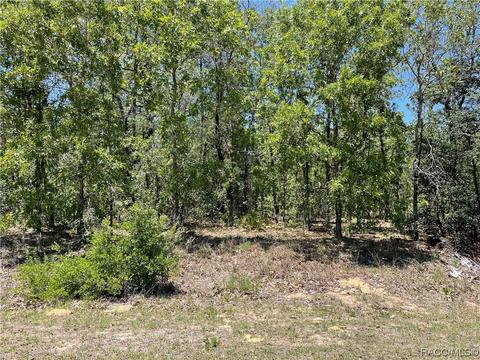 928 N Lafayette Way, Inverness, FL 34453
