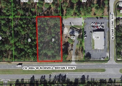 2457 W Norvell Bryant Hwy, Lecanto, FL 34461