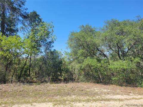 6780 N Sandborn Loop, Citrus Springs, FL 34433
