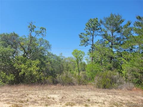 6806 N Sandborn Loop, Citrus Springs, FL 34433