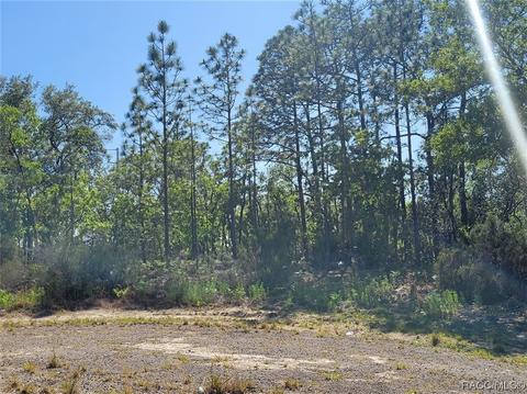 1000 W Riley Dr, Citrus Springs, FL 34434