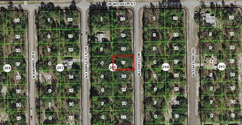 9884 N Lovell Dr, Citrus Springs, FL 34433