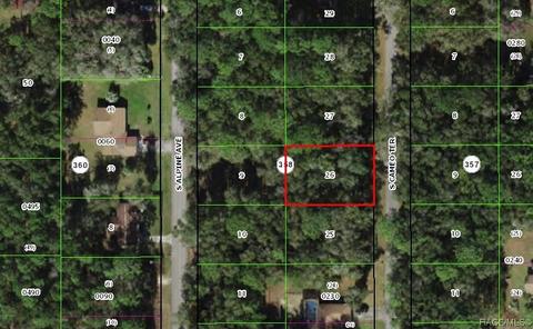 3986 S Cameo Ter, Inverness, FL 34452