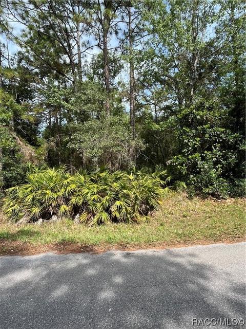 58 Golfview Dr, Homosassa, FL 34446