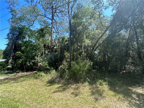 9800 W Sandra St, Crystal River, FL 34428