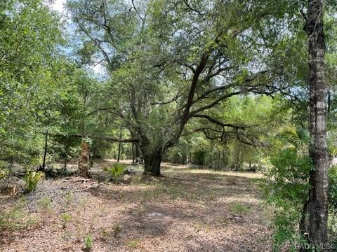 12476 W Baltic Ivy St, Crystal River, FL 34428