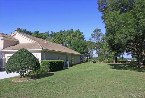 1980 N Gibson Pt, Hernando, FL 34442 photo 27