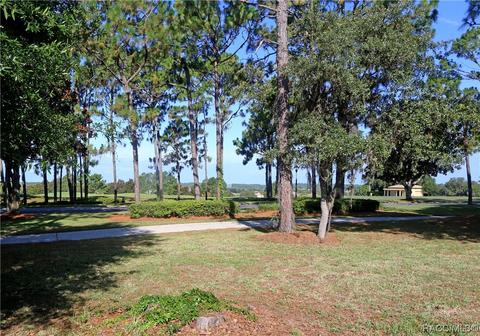 1980 N Gibson Pt, Hernando, FL 34442 photo 28